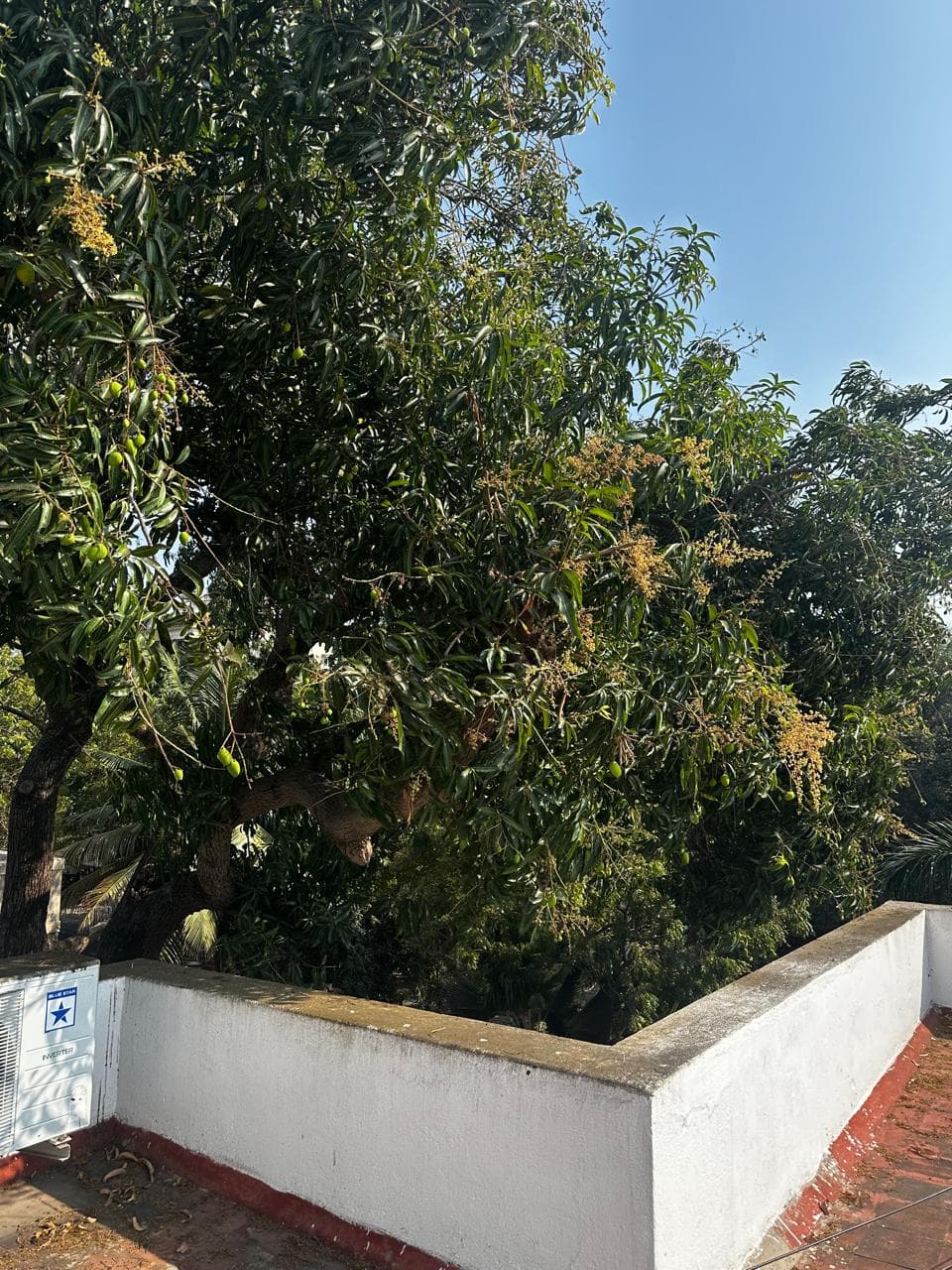 Terrace 1 Ecpvqd Tzntmw